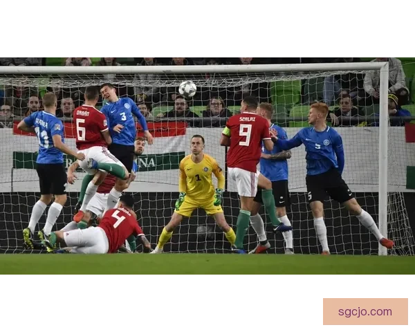 世预欧焦点战葡萄牙完胜亚美尼亚匈牙利战平爱尔兰赛事动态度